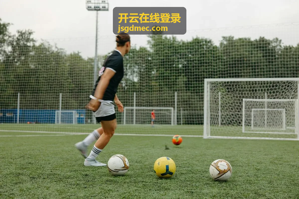 开云在线登录使用说明配图