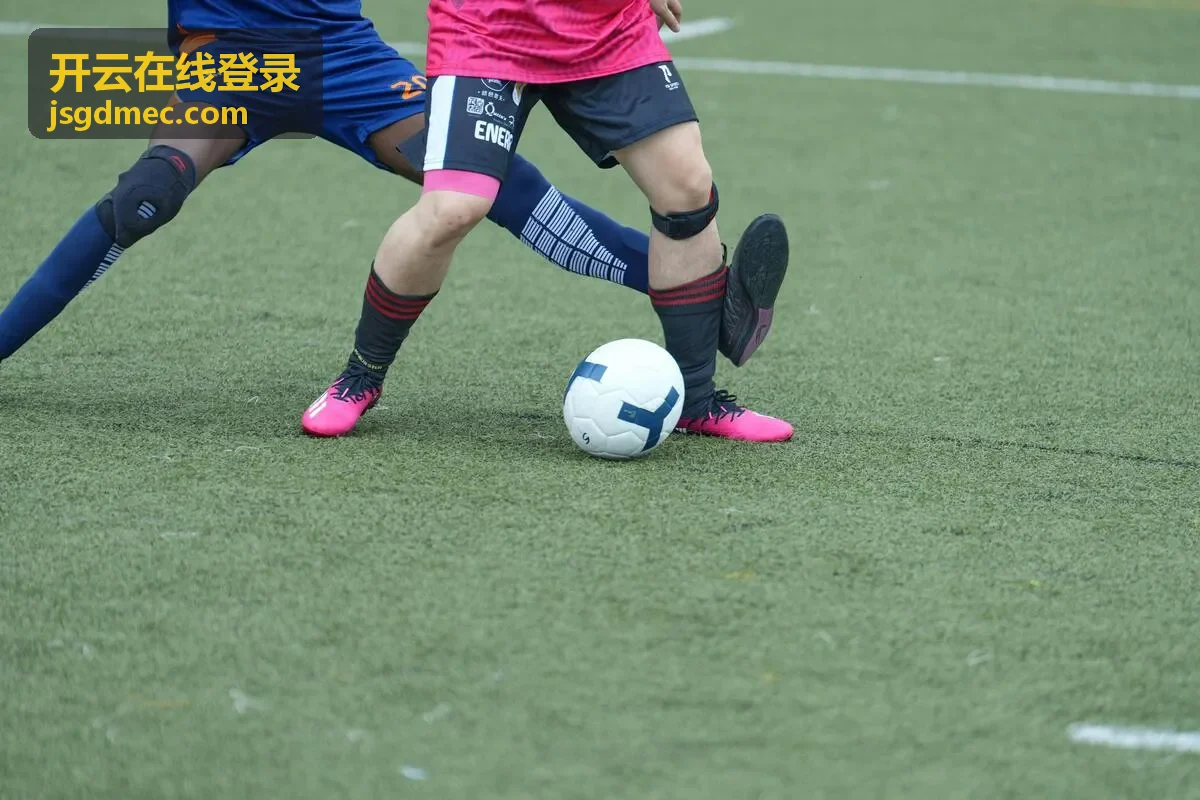 开云在线登录入口地址核对操作界面示意