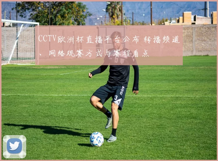 CCTV欧洲杯直播平台公布 转播频道、网络观赛方式与赛程看点