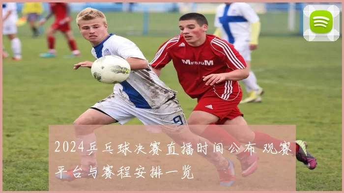 2024乒乓球决赛直播时间公布 观赛平台与赛程安排一览