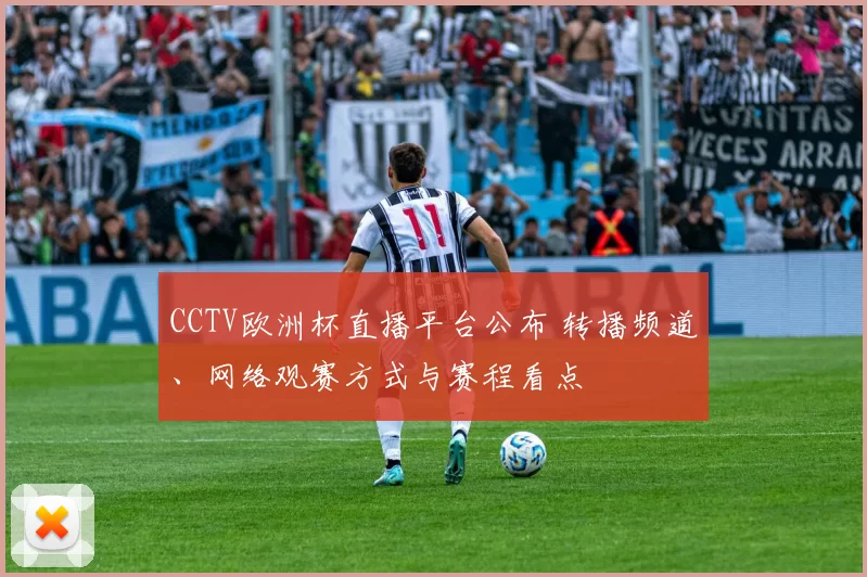 CCTV欧洲杯直播平台公布 转播频道、网络观赛方式与赛程看点