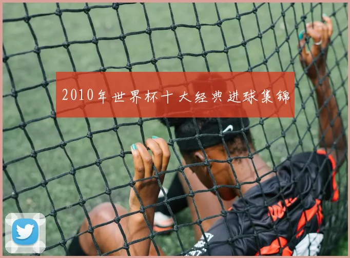 2010年世界杯十大经典进球集锦