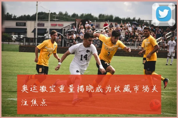 奥运徽宝重量揭晓成为收藏市场关注焦点