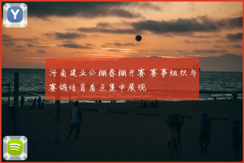 河南建业公棚春棚开赛 赛事组织与赛鸽培育看点集中展现